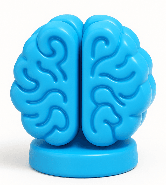 Brain illustration